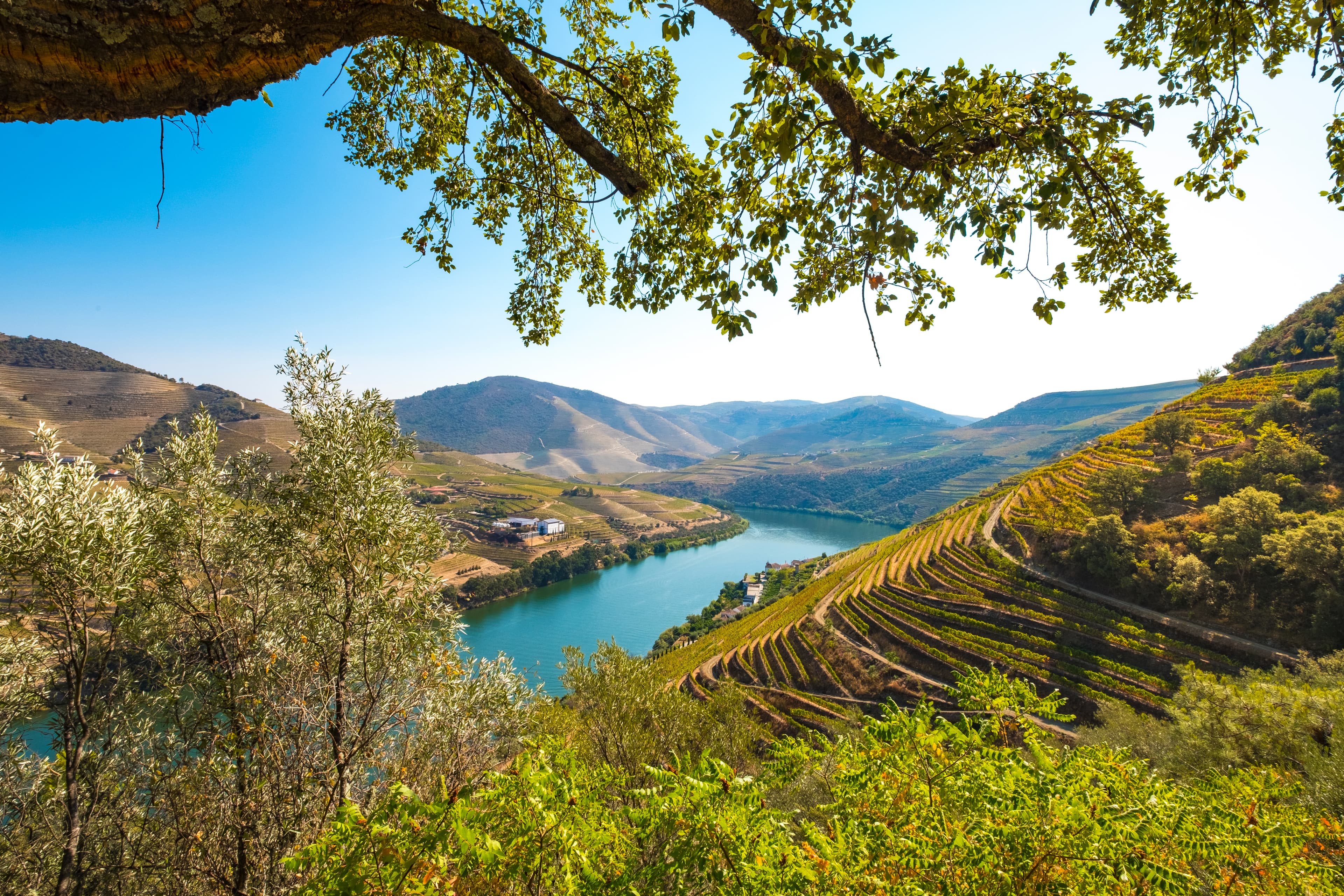 Best time to visit