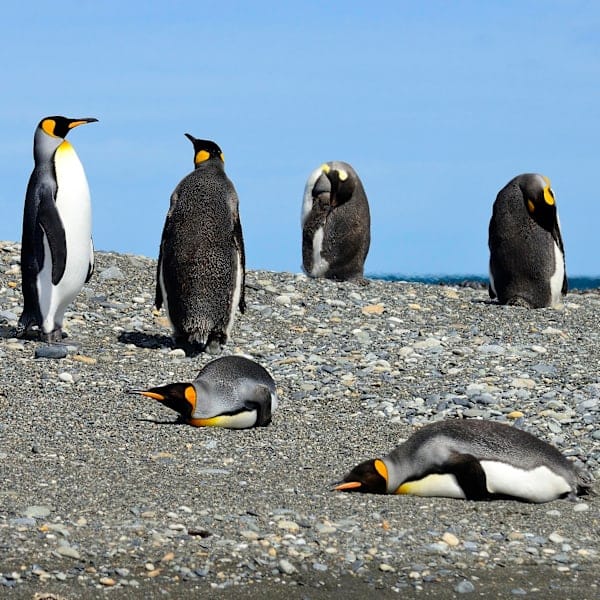 Chile and Argentina: Road trip through Patagonia